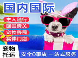 贵阳机场物流国际宠物托运 【国